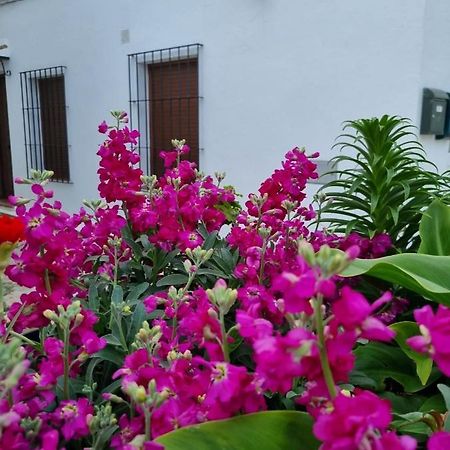 Casa Francisca En El Casco Antiguo Villa Vejer de la Frontera Eksteriør bilde