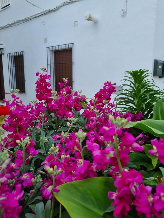 Casa Francisca En El Casco Antiguo Villa Vejer de la Frontera Eksteriør bilde