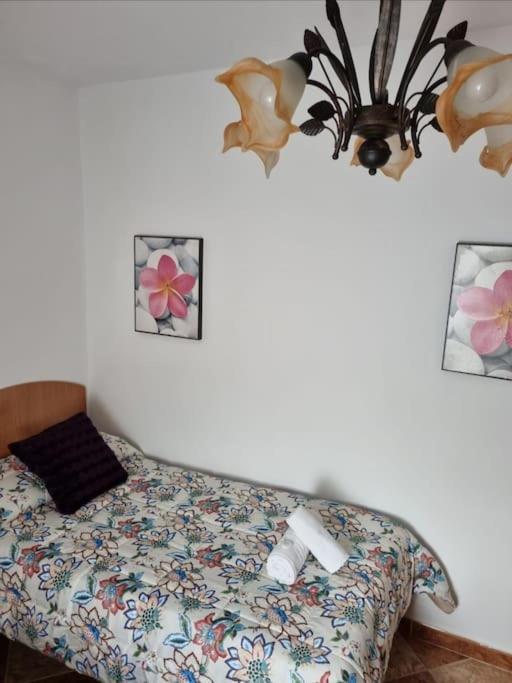 Casa Francisca En El Casco Antiguo Villa Vejer de la Frontera Eksteriør bilde